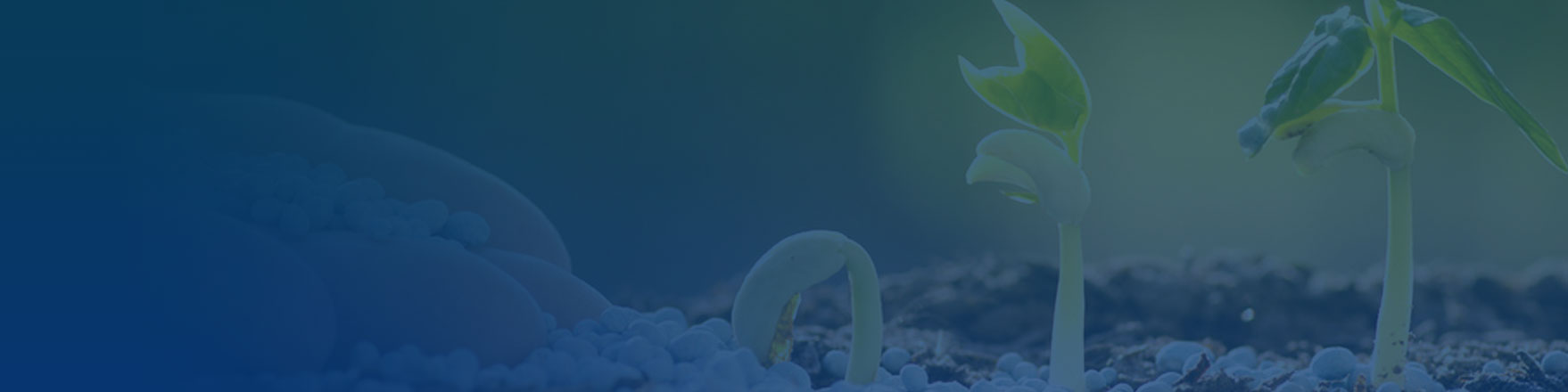 生物质能