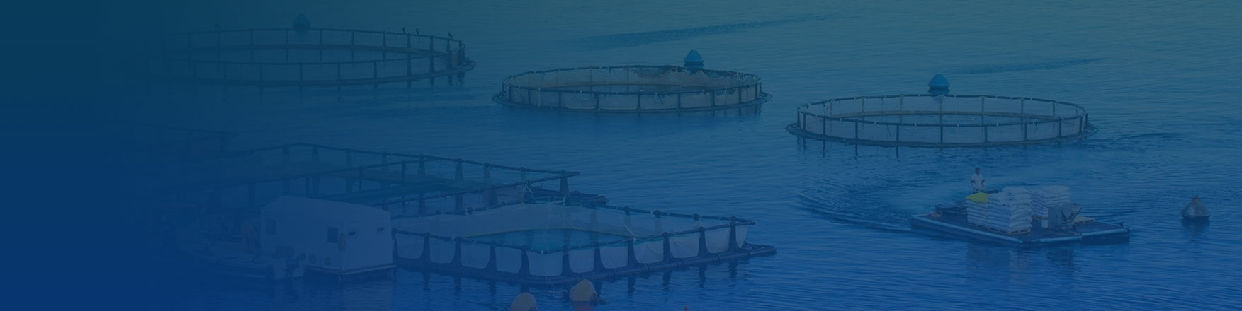 水